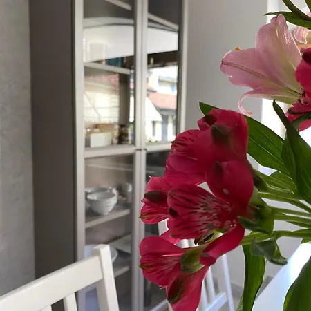 Apartmán Casa Cassina *